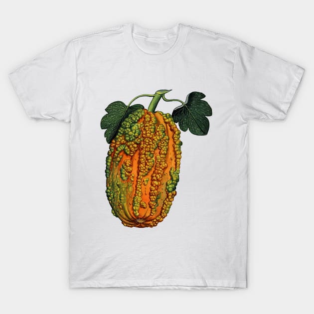 harvest T-Shirt by ysmnlettering